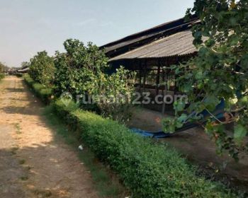 Tanah Super Dijual di Bantar Gebang Cimuning 5,5 Ha SHM Sdh Rapi