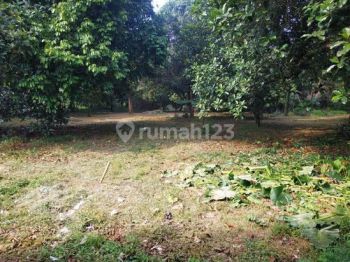 Dijual Cepat Lahan Tanah Kavling di Cilengsi , Jawa Barat