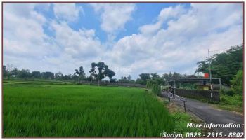 Dijual Tanah Sleman Siap Nego dan AJB Dekat Exit Tol Kalasan