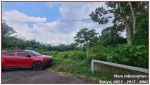 thumbnail-dijual-tanah-sleman-siap-nego-dan-ajb-dekat-exit-tol-kalasan-2