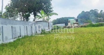 Tanah di Jalan Raya Cangkiran Mijen , Semarang Me 5984