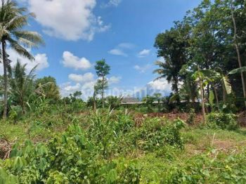 Tanah Murah Jogja Dekat Kampus Uii, View Merapi, Cocok Hunian