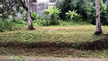 Tanah Ampelgading Gunungpati Cocok Untuk Tempat Tinggal