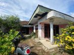 thumbnail-dijual-tanah-di-kedungwuni-pekalongantanah-bonus-rumah-0