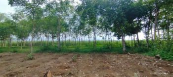 Tanah Kapling Bojong Lokasi Strategis  3 Menit Exit Tol Bojong, SHM Ready