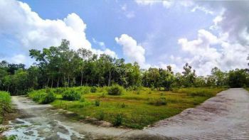 Tanah SHM Dekat UGM Wates, 6 Menit Jl Wates