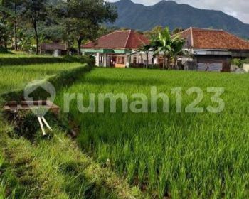 Tanah sawah untuk villa+rumah view lepas gunung sangat strategis