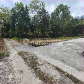 Dijual Cepat, Tanah Sedayu Dekat Kampus Umby 1 Jogja