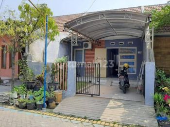 Rumah Sudah Renovasi di Manyar Gresik Jatim