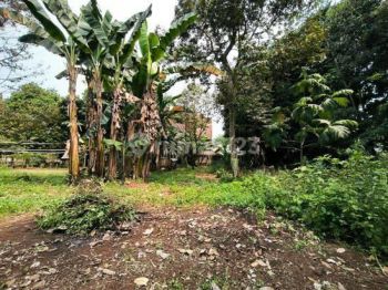 Tanah di Ciseeng 3256 m²