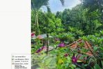 thumbnail-luxury-villa-cantik-view-sungai-dan-sawah-di-bongan-tabanan-10