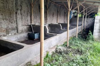 disewakan tanah dan bangunan 200 meter di kampung melayu teluknaga, tanjung