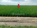 thumbnail-sawah-dijual-di-belitang-3-desa-karang-sari-oku-timur-sumsel-0