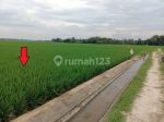 thumbnail-sawah-dijual-di-belitang-3-desa-karang-sari-oku-timur-sumsel-5