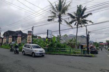 Tanah pekarangan Hook mangku jalan Damai