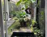 thumbnail-rumah-di-taman-provence-bsd-bersih-dan-siap-huni-4