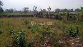 Tanah Subur Dan Strategis di Sekar Putih Kota Batu