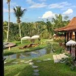 thumbnail-dijual-villa-murah-view-sawah-di-tegalalang-ubud-gianyar-bali-2