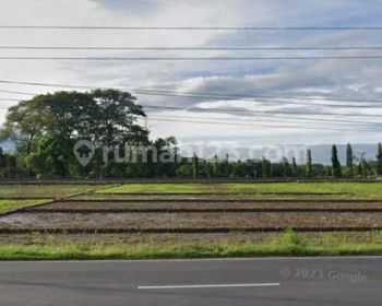 Sewakan Tanah Pesan Bangun Gudang 1,4 Ha Lokasi Masaran,sragen