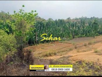 Jual Cepat Tanah 50 Hektar di Labuan Cocok Bangun Perumahaan