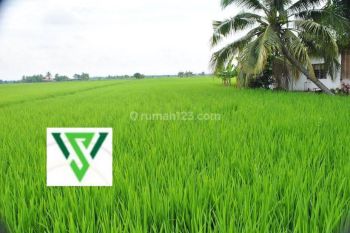 Tanah kavling murah 19,93jt/m graha Family Pakuwon Indah