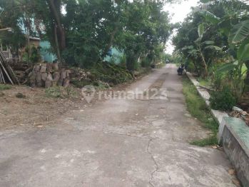 Tanah Murah View Sawah Seputar Bugisan Selatan Dalam Ringroad