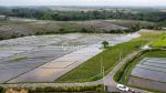 thumbnail-tanah-view-sawah-beraban-selemadeg-tabanan-0