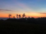 thumbnail-tanah-view-sawah-beraban-selemadeg-tabanan-8