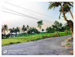 thumbnail-pekarangan-pakem-kaliurang-luas-standar-villa-guest-house-shm-p-2