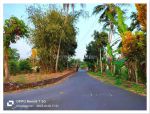 thumbnail-pekarangan-pakem-kaliurang-luas-standar-villa-guest-house-shm-p-6