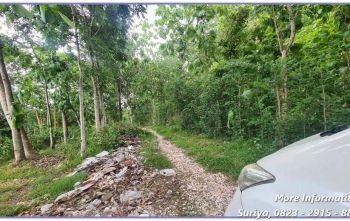 Jual Tanah Bantul Dekat SDN 1 Piyungan