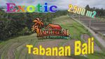 thumbnail-potensial-lahan-seluas-25-are-di-marga-tabanan-0