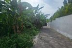 thumbnail-disewakan-tanah-10-are-view-sawah-di-semat-berawa-canggu-2