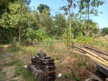 Tanah Strategis dan Potensial di Junrejo Kota Batu