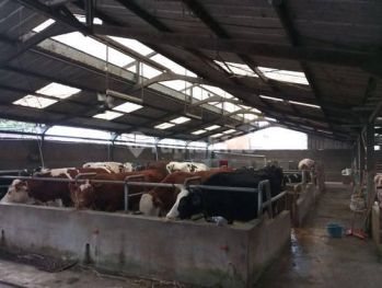 Ruang Usaha Strategis Di Lembang Bandung Harga Terbaik