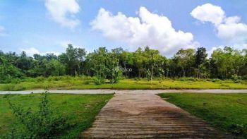 Tanah SHM Dekat UGM Wates, 6 Menit Jl Wates