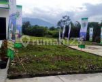 thumbnail-rumah-murah-bogor-500-800-juta-dekat-tol-stasiun-kebun-raya-rsud-5