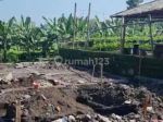 thumbnail-rumah-cantik-view-sawah-di-selatan-prambanan-6