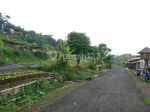 thumbnail-tanah-di-jalan-sersan-bajuri-bandung-112-m2-hook-4