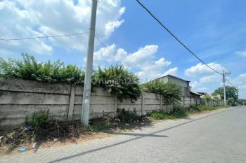 Tanah Tambak Murah Di Margomulyo Indah