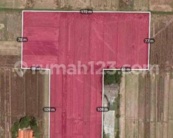 Tanah 2 hektar di Pekalongan