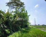 thumbnail-sale-tanah-tanah-dijual-4