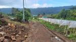 thumbnail-jual-murah-tanah-bedugul-dekat-danau-buyan-tnc1-7