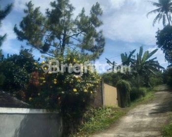 Tanah di Megamendung Puncak SHM