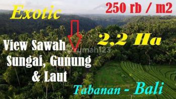 Strategis 216 Are View Cantik Dominan Datar Pinggir Jalan