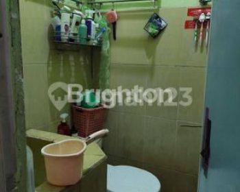 NEW PURI CEMPAKA JEMBER