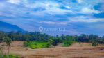 thumbnail-tanah-wisata-petik-anggur-dan-villa-kayu-cariu-bogor-0