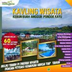 thumbnail-tanah-wisata-petik-anggur-dan-villa-kayu-cariu-bogor-1