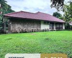 thumbnail-for-sale-rumah-classic-terawat-kemang-0