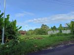 thumbnail-dijual-tanah-dipakuhaji-cocok-untuk-villa-4